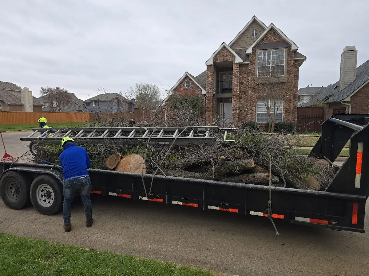 Expert Tree Removal with proper safety equipment in Cherokee